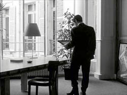 bruno-and-window-1-uk-250.jpg