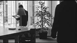 bruno-and-window-1-us-250.jpg