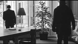 bruno-and-window-2-us-250.jpg