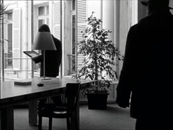 bruno-and-window-2a-uk-250.jpg