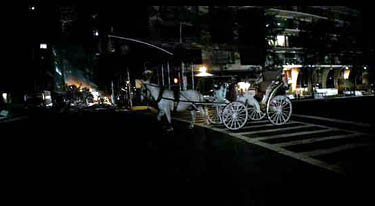 cloverfield-carriage-375.jpg