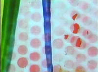 colour-box-2-200.jpg