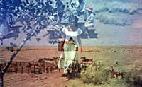 giant-3.jpg
