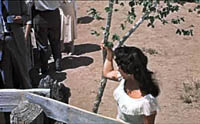 giant-4.jpg