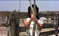 giant-6.jpg