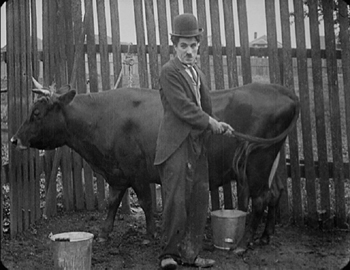 The Tramp Charlie & Cow