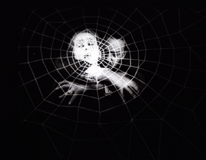 spiderweb 300
